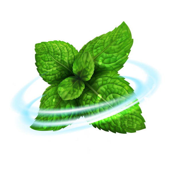 Riccardo Aroma Menth...