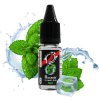 Riccardo E-Liquid Mint - 10 ml