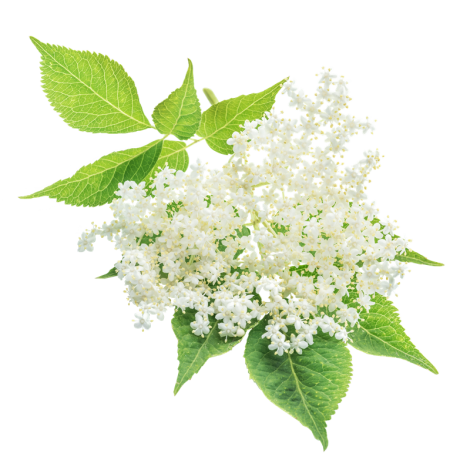 Riccardo Aroma Holunderbl te - 10 ml