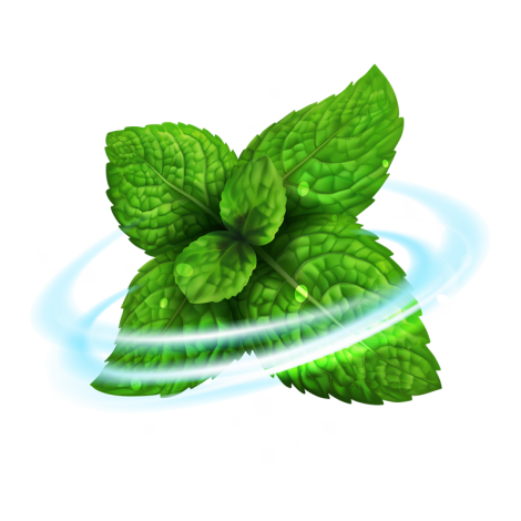 Riccardo Aroma Menthol - 10 ml