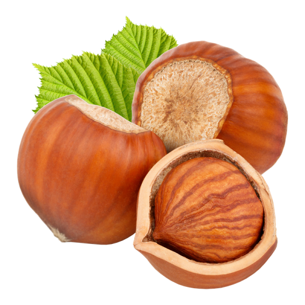 Riccardo Aroma Hasel...