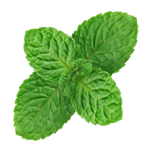 Riccardo Aroma Pfeff...