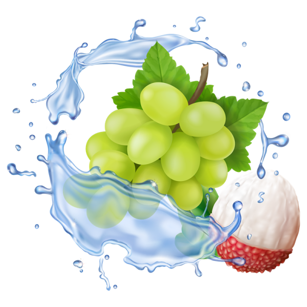 Red Dragon Aroma Sun...