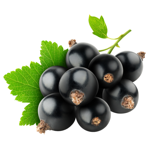 Riccardo Aroma Johan...