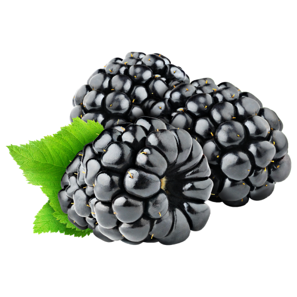 Riccardo Aroma Bromb...